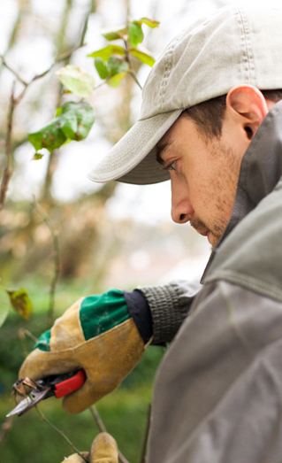 Le jardinage selon Cléyade